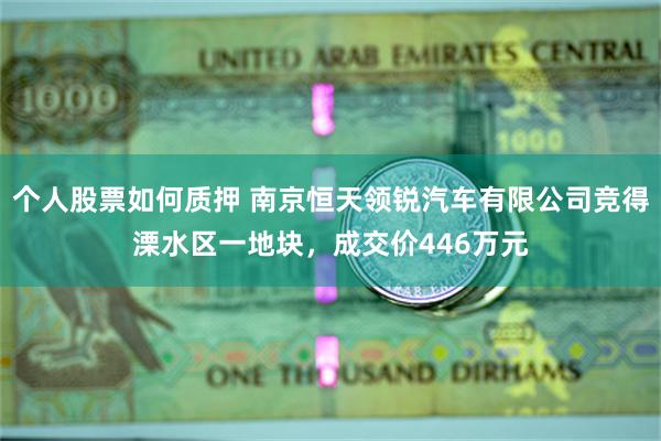 个人股票如何质押 南京恒天领锐汽车有限公司竞得溧水区一地块，成交价446万元