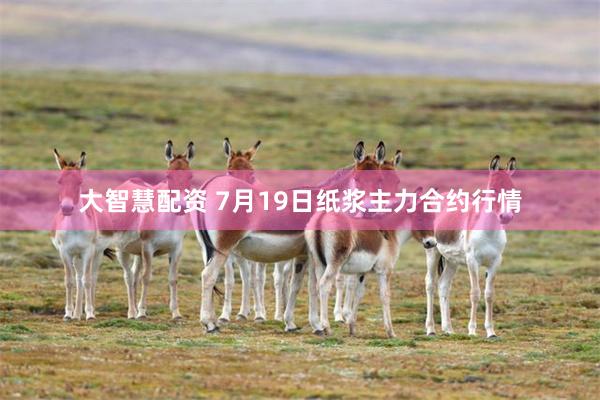 大智慧配资 7月19日纸浆主力合约行情