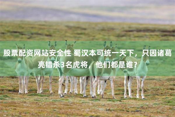 股票配资网站安全性 蜀汉本可统一天下，只因诸葛亮错杀3名虎将，他们都是谁？