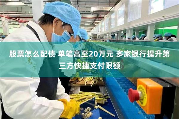 股票怎么配债 单笔高至20万元 多家银行提升第三方快捷支付限额
