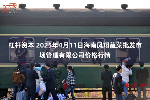 杠杆资本 2025年4月11日海南凤翔蔬菜批发市场管理有限公司价格行情