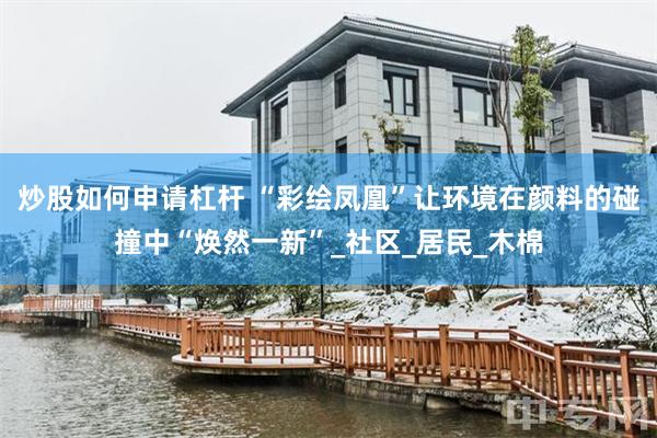 炒股如何申请杠杆 “彩绘凤凰”让环境在颜料的碰撞中“焕然一新”_社区_居民_木棉
