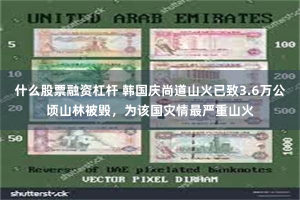 什么股票融资杠杆 韩国庆尚道山火已致3.6万公顷山林被毁，为该国灾情最严重山火