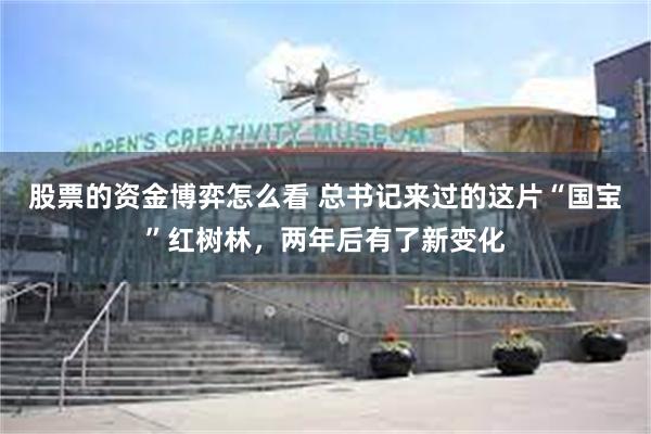 股票的资金博弈怎么看 总书记来过的这片“国宝”红树林，两年后有了新变化
