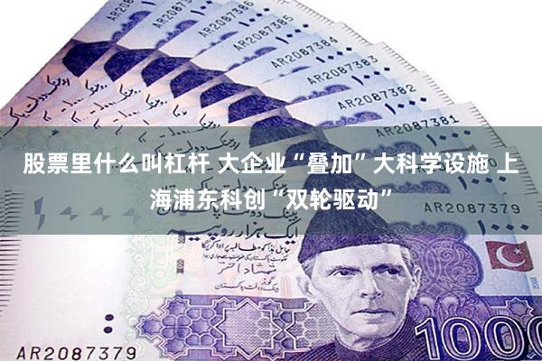 股票里什么叫杠杆 大企业“叠加”大科学设施 上海浦东科创“双轮驱动”