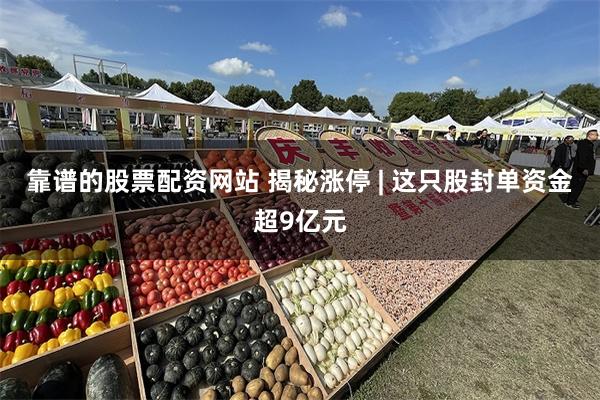 靠谱的股票配资网站 揭秘涨停 | 这只股封单资金超9亿元