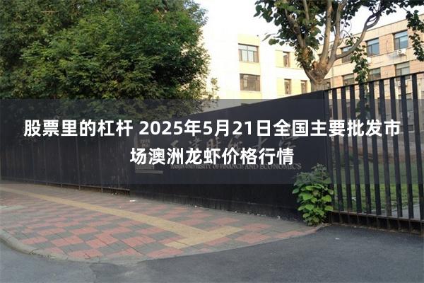 股票里的杠杆 2025年5月21日全国主要批发市场澳洲龙虾价格行情