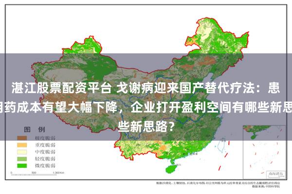 湛江股票配资平台 戈谢病迎来国产替代疗法：患者用药成本有望大幅下降，企业打开盈利空间有哪些新思路？