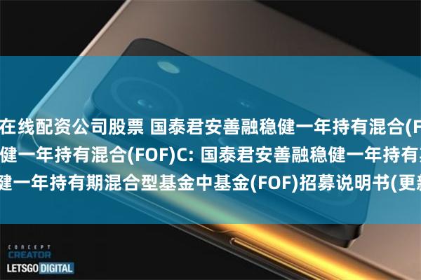 在线配资公司股票 国泰君安善融稳健一年持有混合(FOF)A,国泰君安善融稳健一年持有混合(FOF)C: 国泰君安善融稳健一年持有期混合型基金中基金(FOF)招募说明书(更新)(2025年第1号)