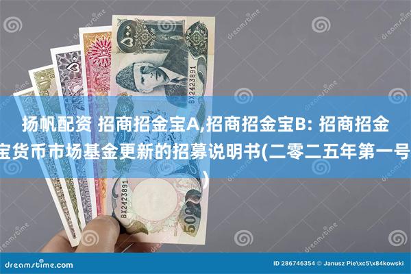 扬帆配资 招商招金宝A,招商招金宝B: 招商招金宝货币市场基金更新的招募说明书(二零二五年第一号)