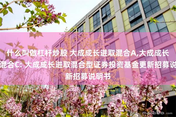 什么叫做杠杆炒股 大成成长进取混合A,大成成长进取混合C: 大成成长进取混合型证券投资基金更新招募说明书
