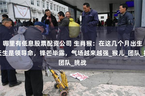 哪里有低息股票配资公司 生肖猴：在这几个月出生的天生是领导命，锋芒毕露，气场越来越强_猴儿_团队_挑战