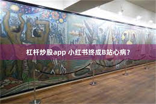杠杆炒股app 小红书终成B站心病？